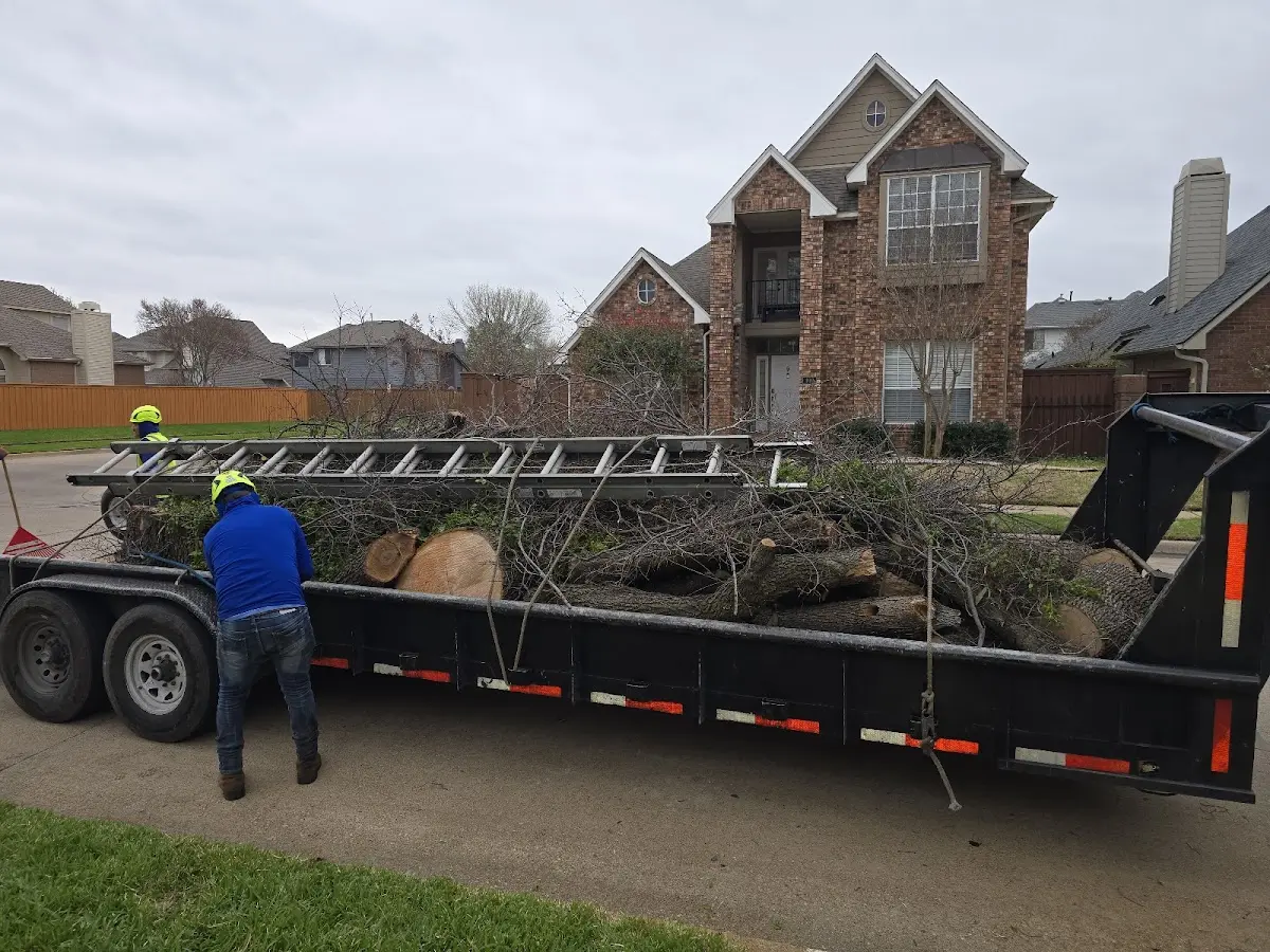 Expert Lot Clearing with proper safety equipment in Wylie